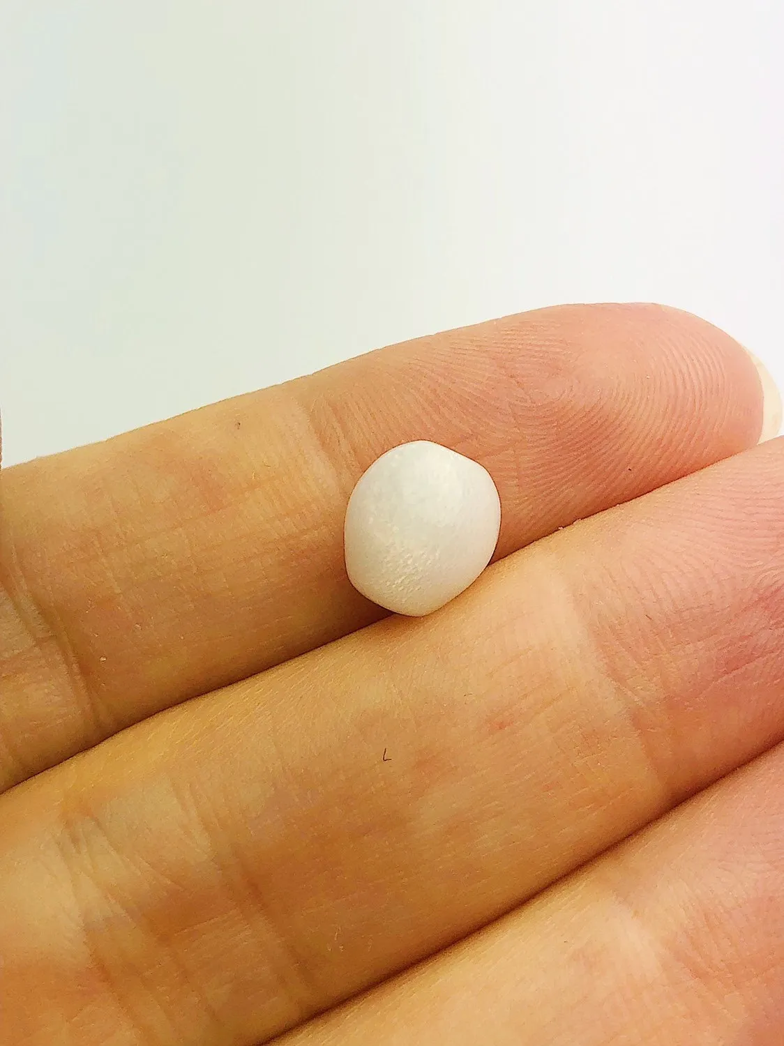 Tridacna White Clam Pearl Loose 7.46mm x 5.6mm No. 31