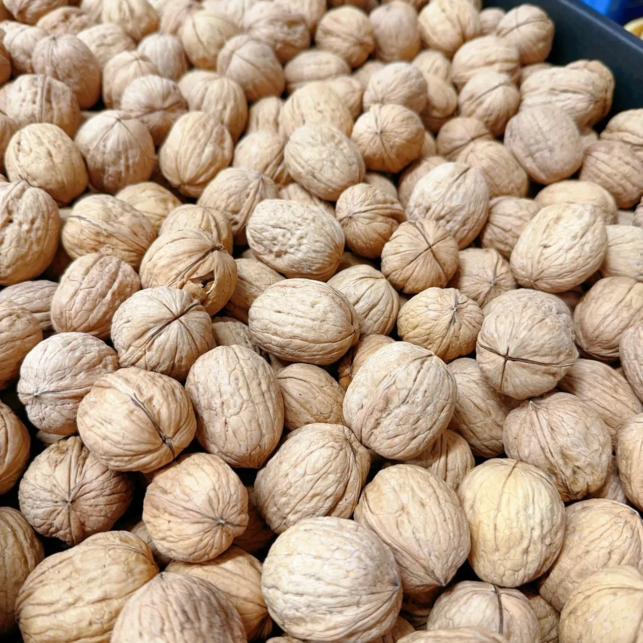 Walnuts - 500g